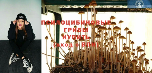 не бодяженный Алексин